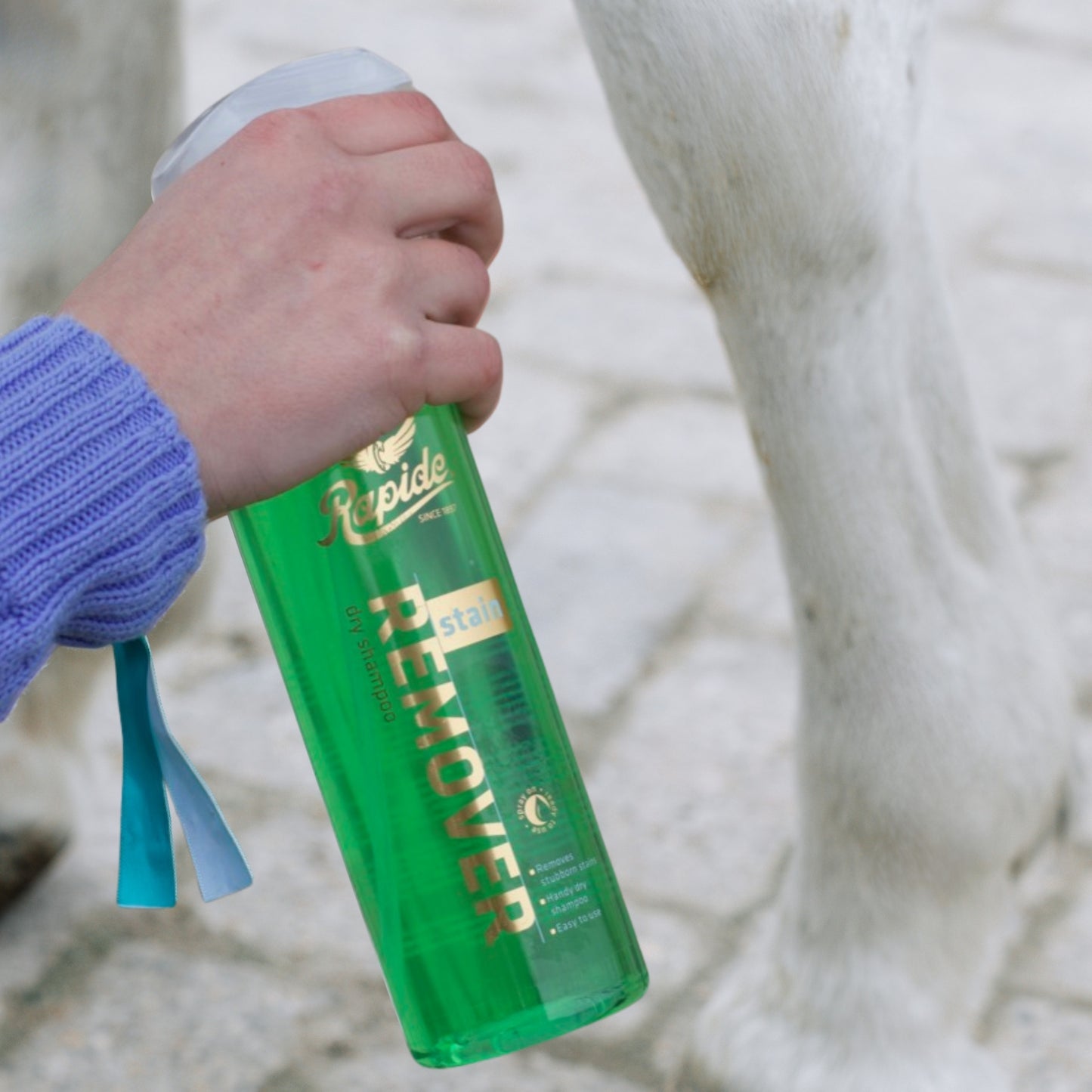 Stain Remover / Dry Clean Shampoo Spray