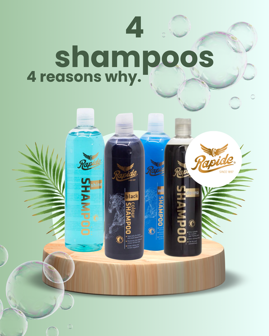4 Shampoos – 4 Reasons Why