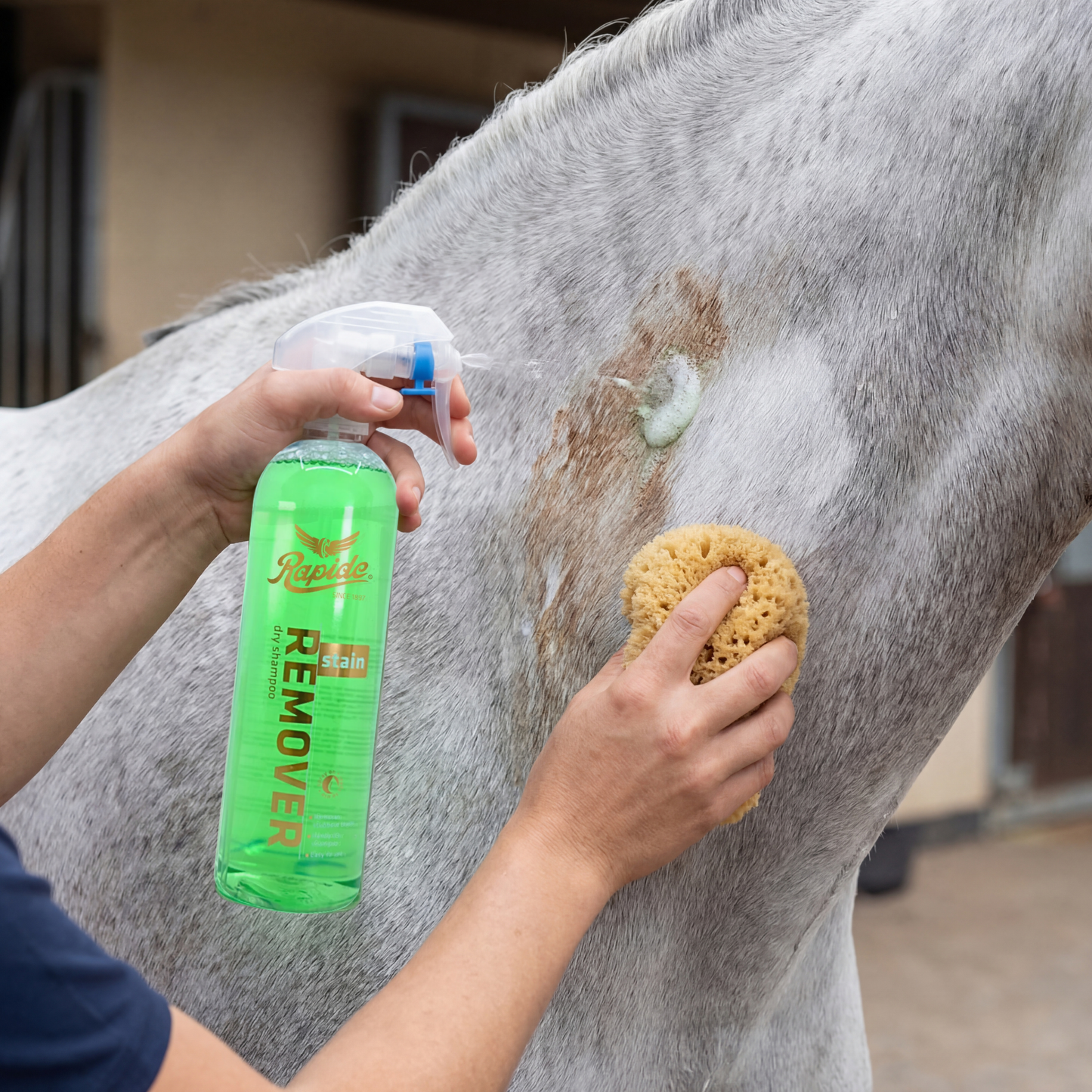 Stain Remover / Dry Clean Shampoo Spray
