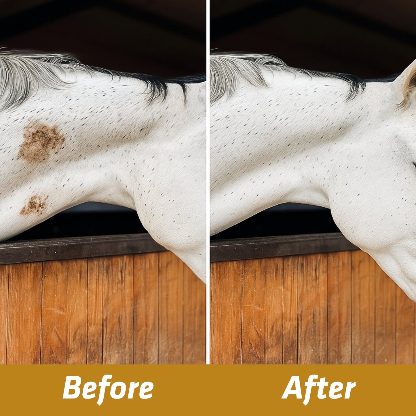 Stain Remover / Dry Clean Shampoo