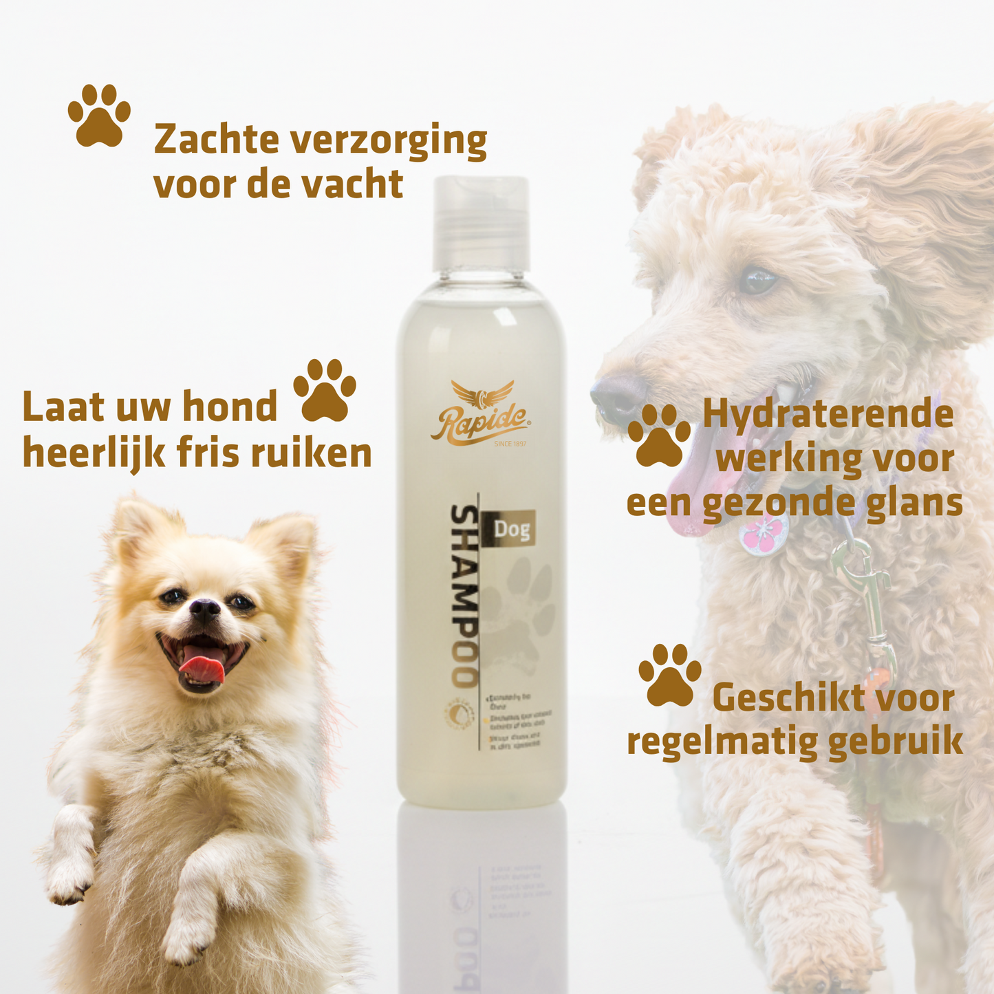 Dog Shampoo