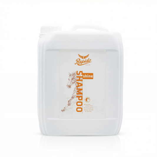 Shine Shampoo 5L