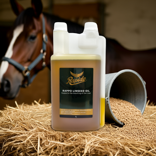 Rappo Linseed Oil